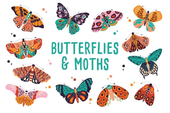 Spring Butterflies and Moths: A Collection of Colorful Hand Drawn Insects